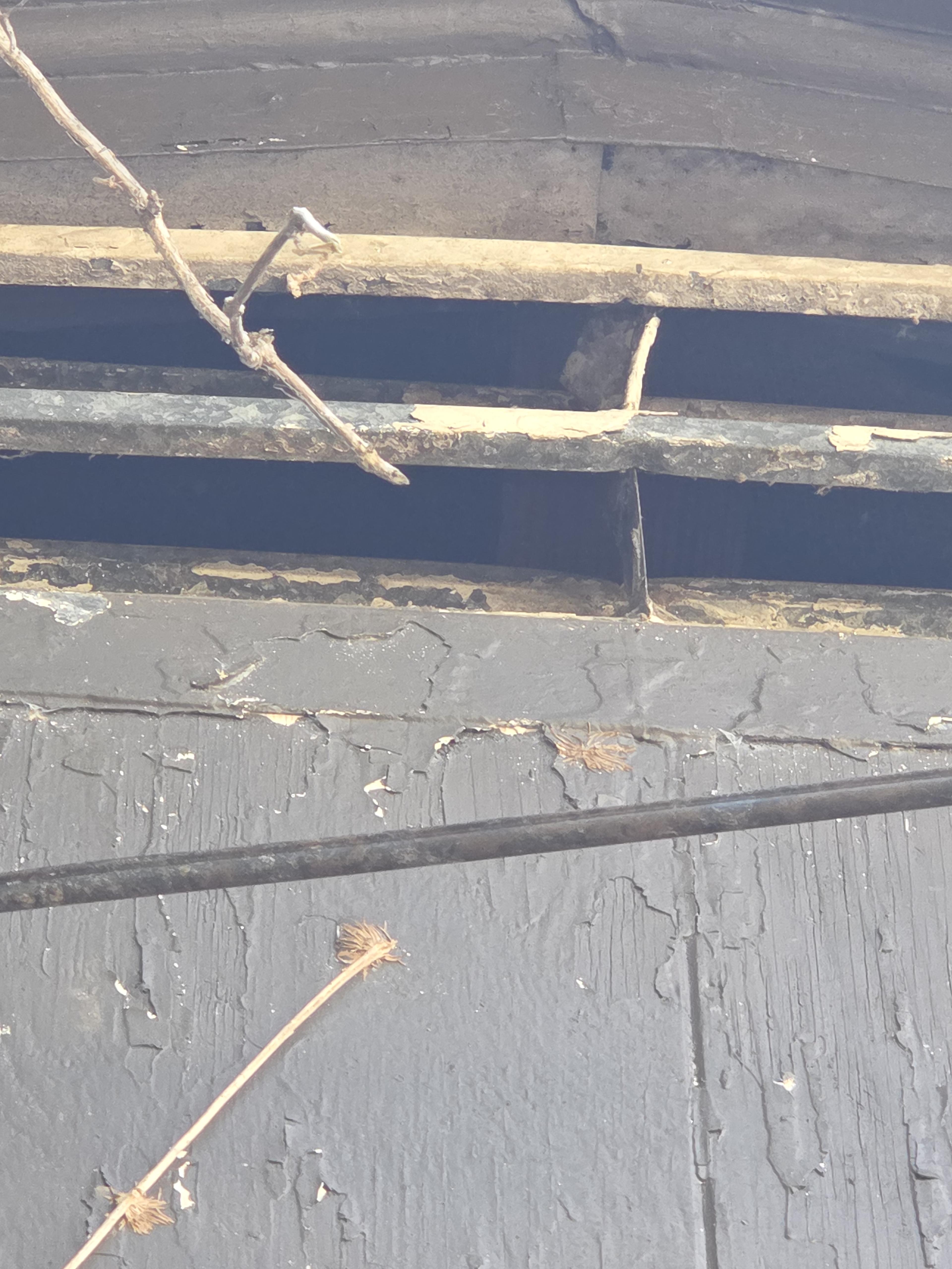 Termite damage assessment