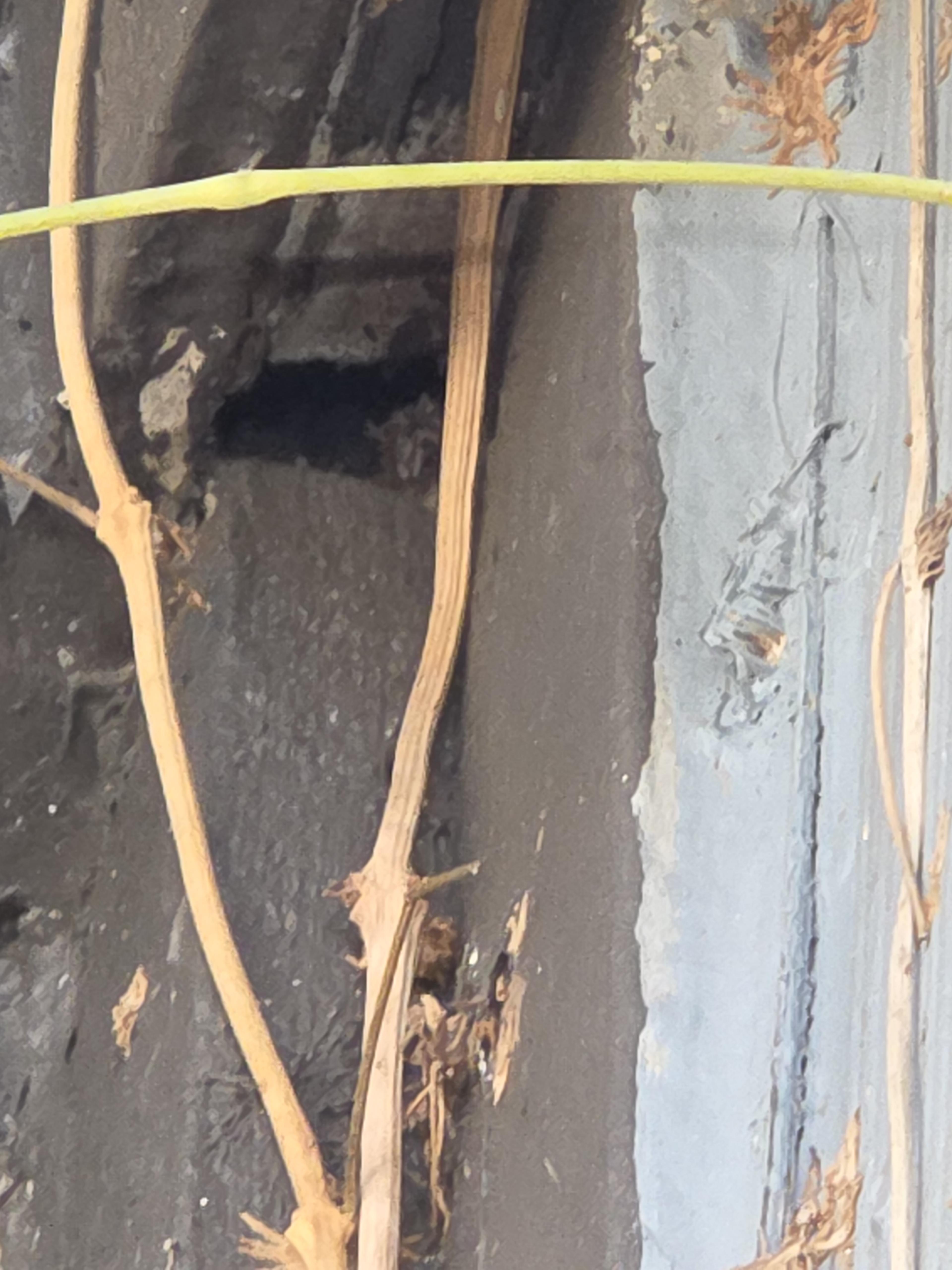 Wood Destroying Organism Damage