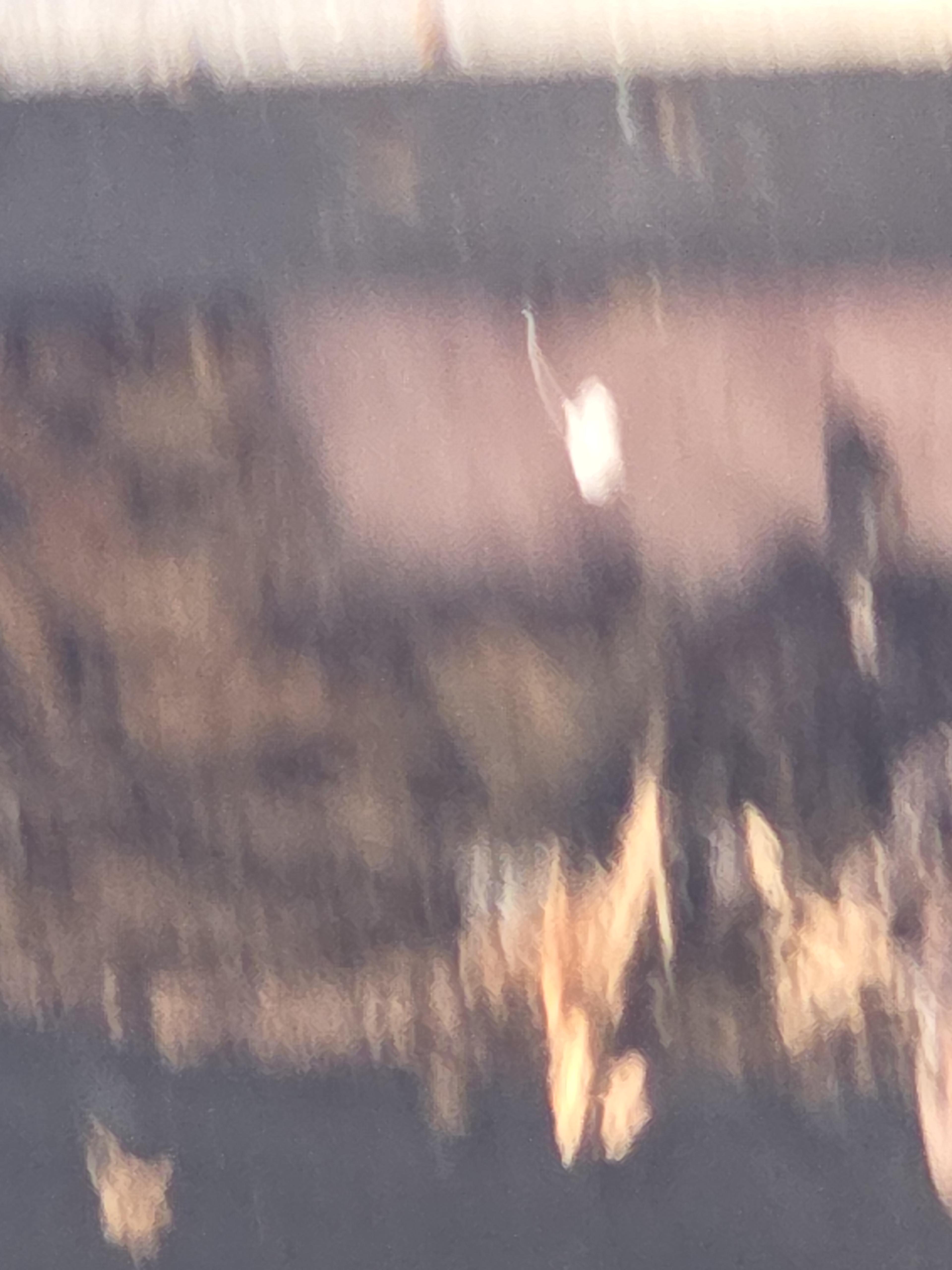 Structural Damage Assessment