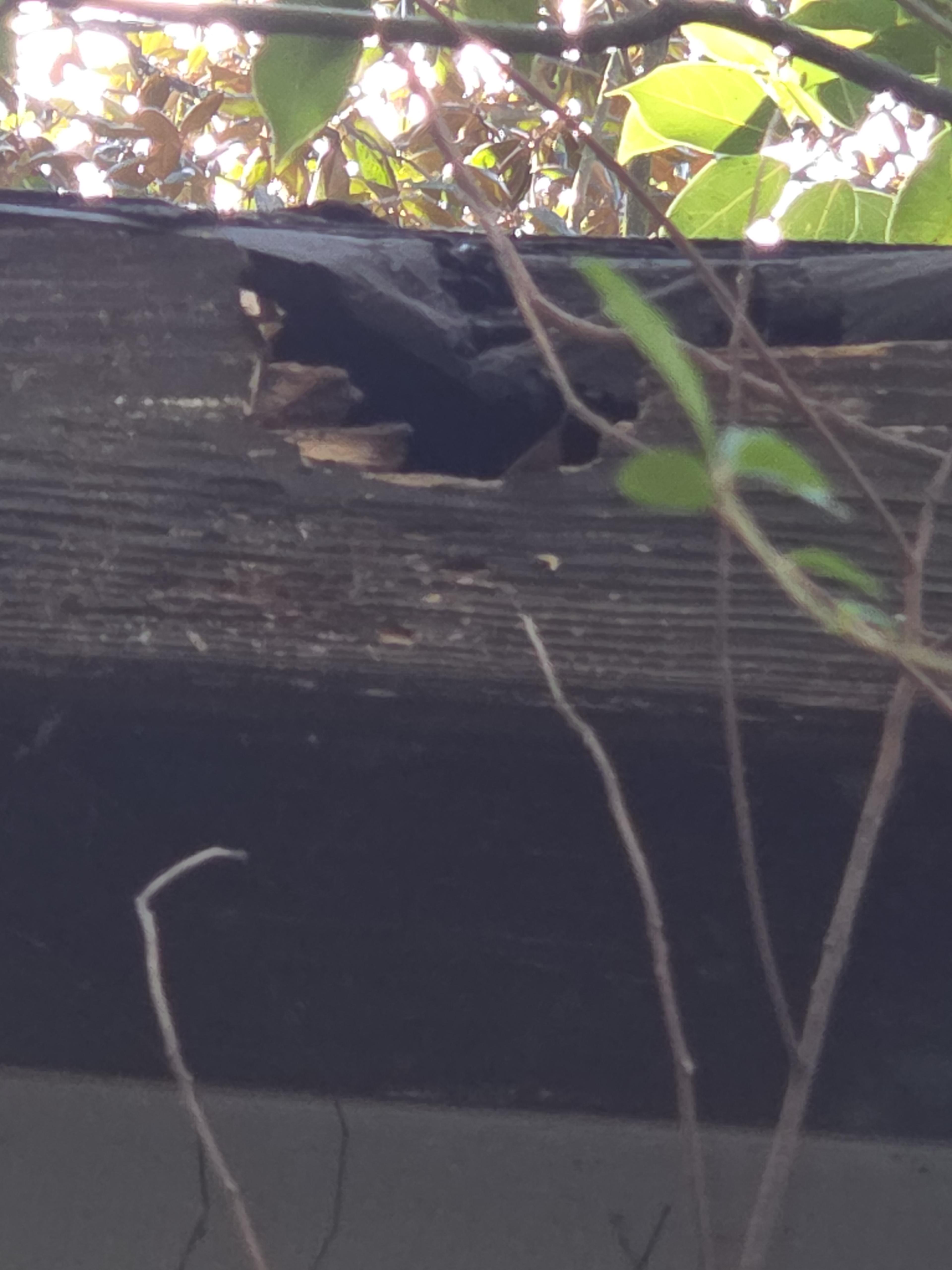 Exterior Damage Assessment